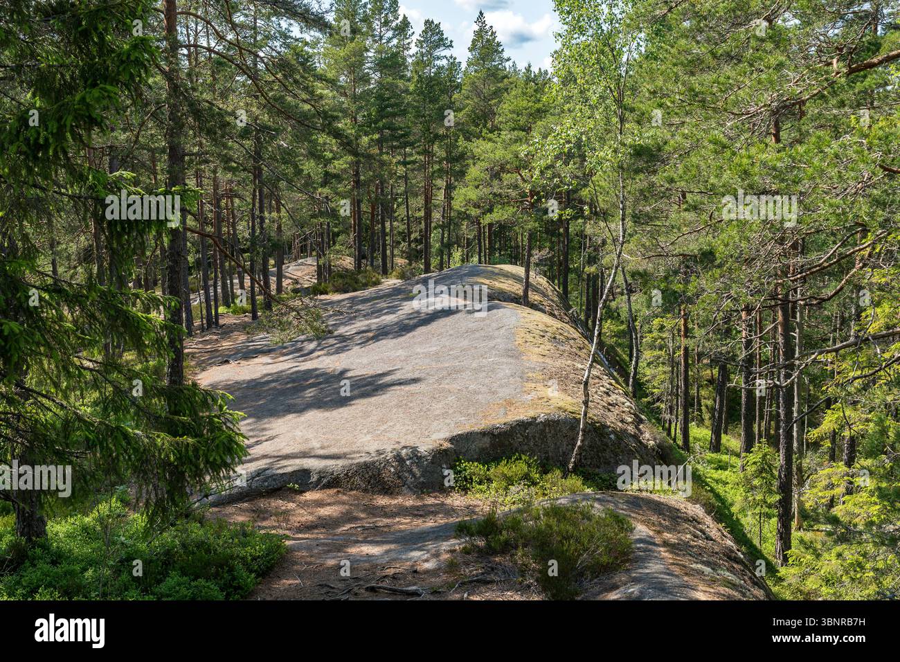 Vague de roche dans le parc national Tiveden, Suède Banque D'Images