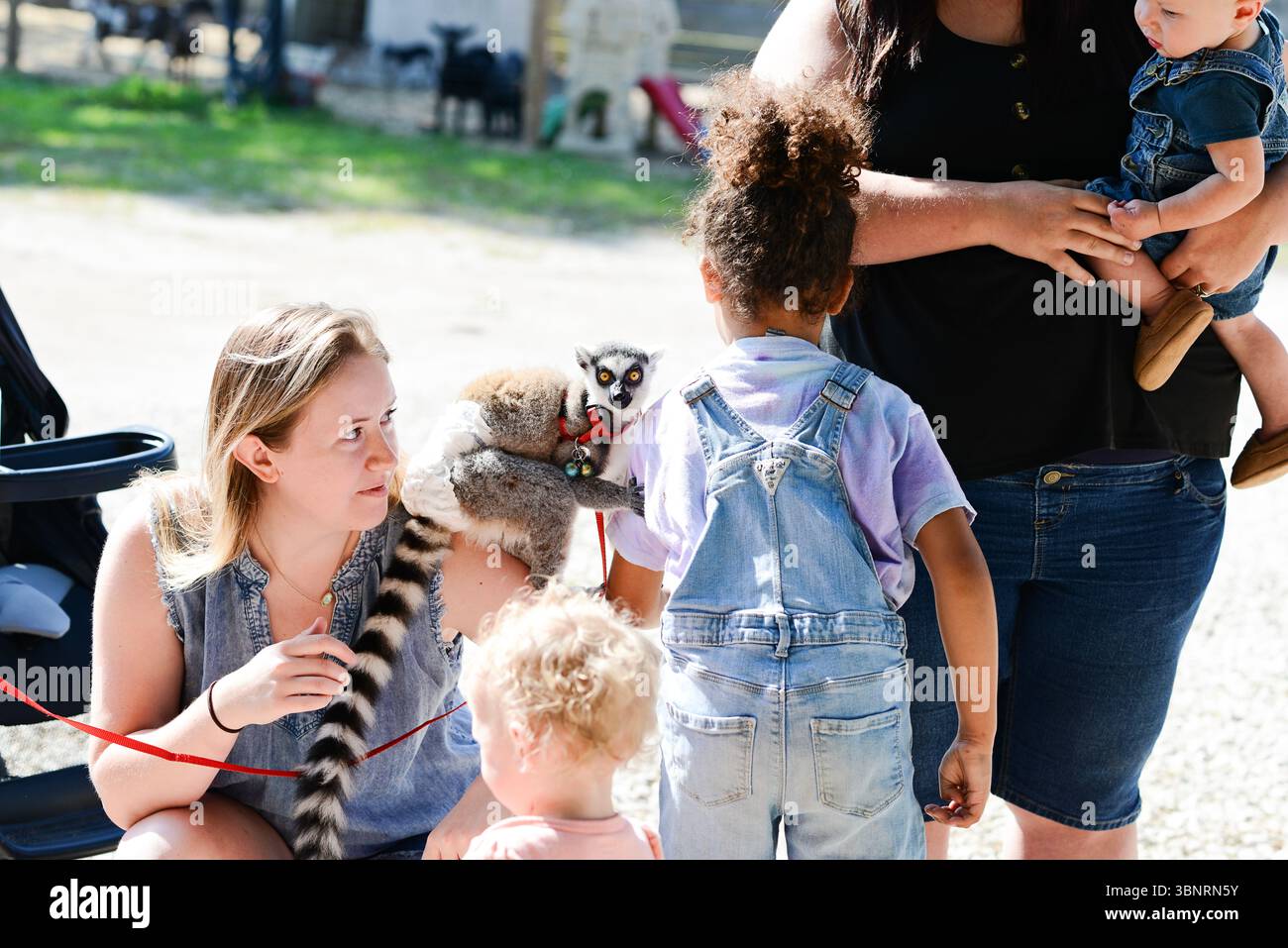 Les enfants se rassemblent autour d'une femme tenant un lémurien à queue annulaire. Banque D'Images