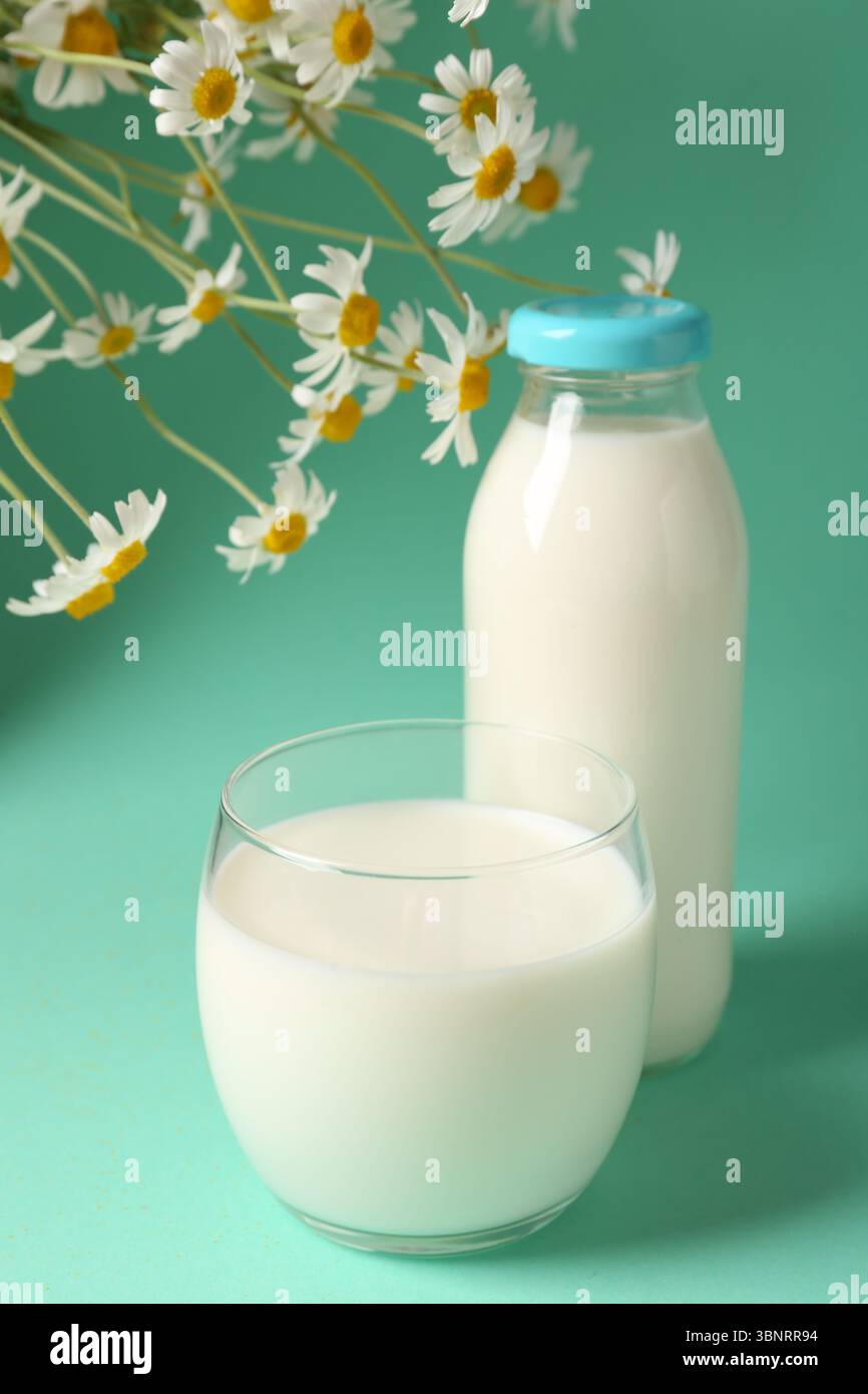 Lait frais en verre, bouteille et fleurs de camomille sur fond turquoise, gros plan. Produit laitier Banque D'Images