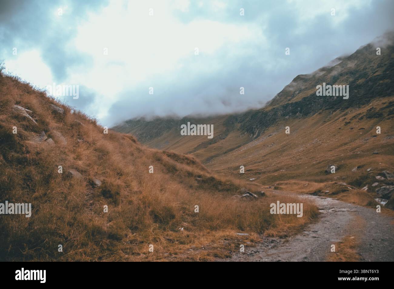 Route de montagne à travers la vallée pittoresque avec ciel nuageux Banque D'Images