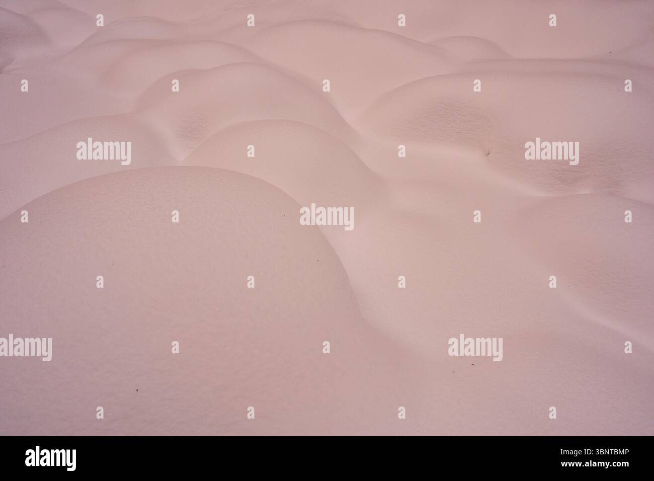 Pierres recouvertes de neige dans la rivière Olterudelva, Oppland, Norvège, luisant dans la lumière du soir réfléchie par le ciel. Banque D'Images