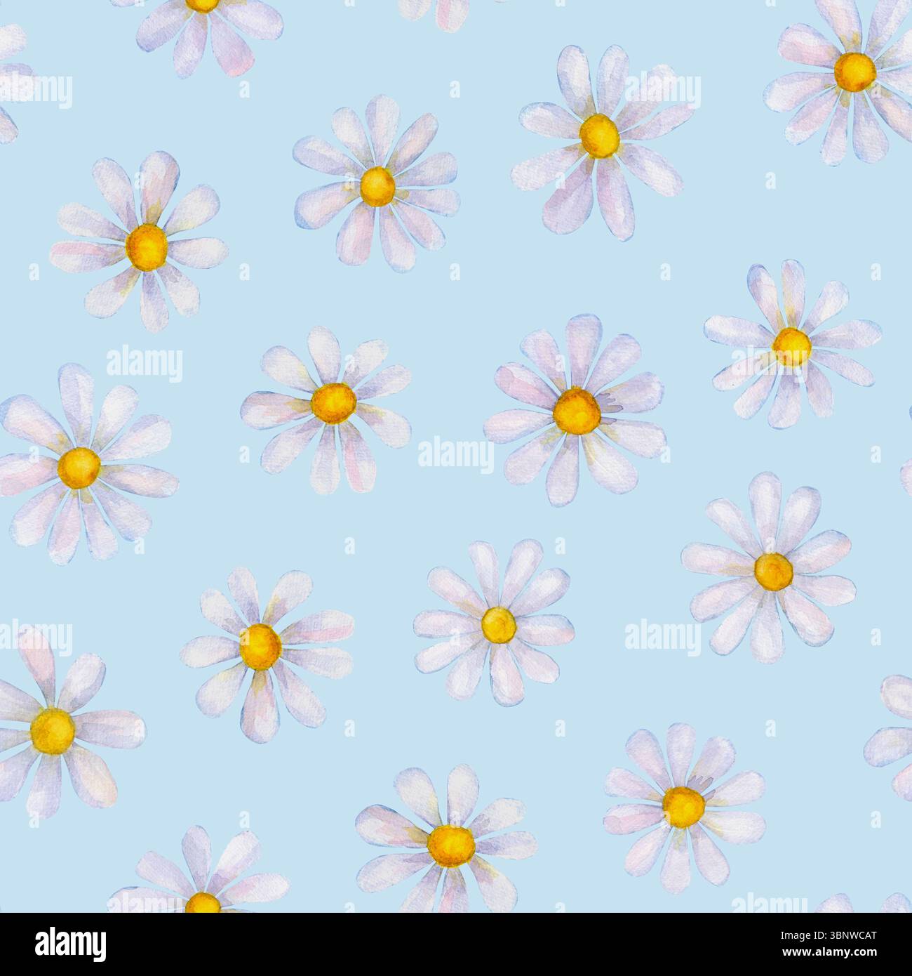 Fleurs de camomille aquarelle. Beau motif floral sans couture. Aquarelle dessinée à la main printemps été illustration botanique sur fond bleu. Imprimer Banque D'Images