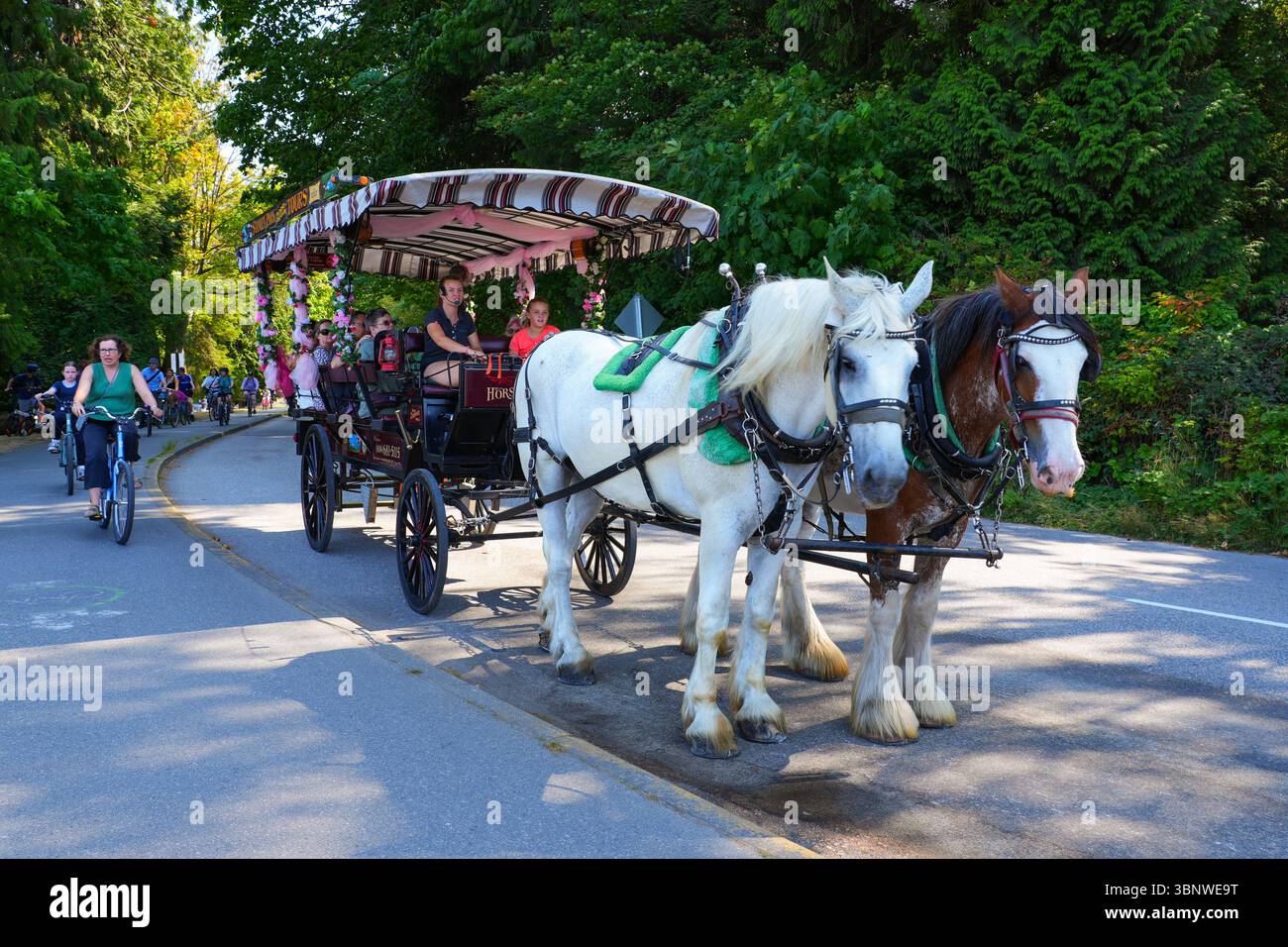Calèche tirée par des chevaux sur la digue maritime de Vancouver à Stanley Park, Colombie-Britannique, Canada Banque D'Images