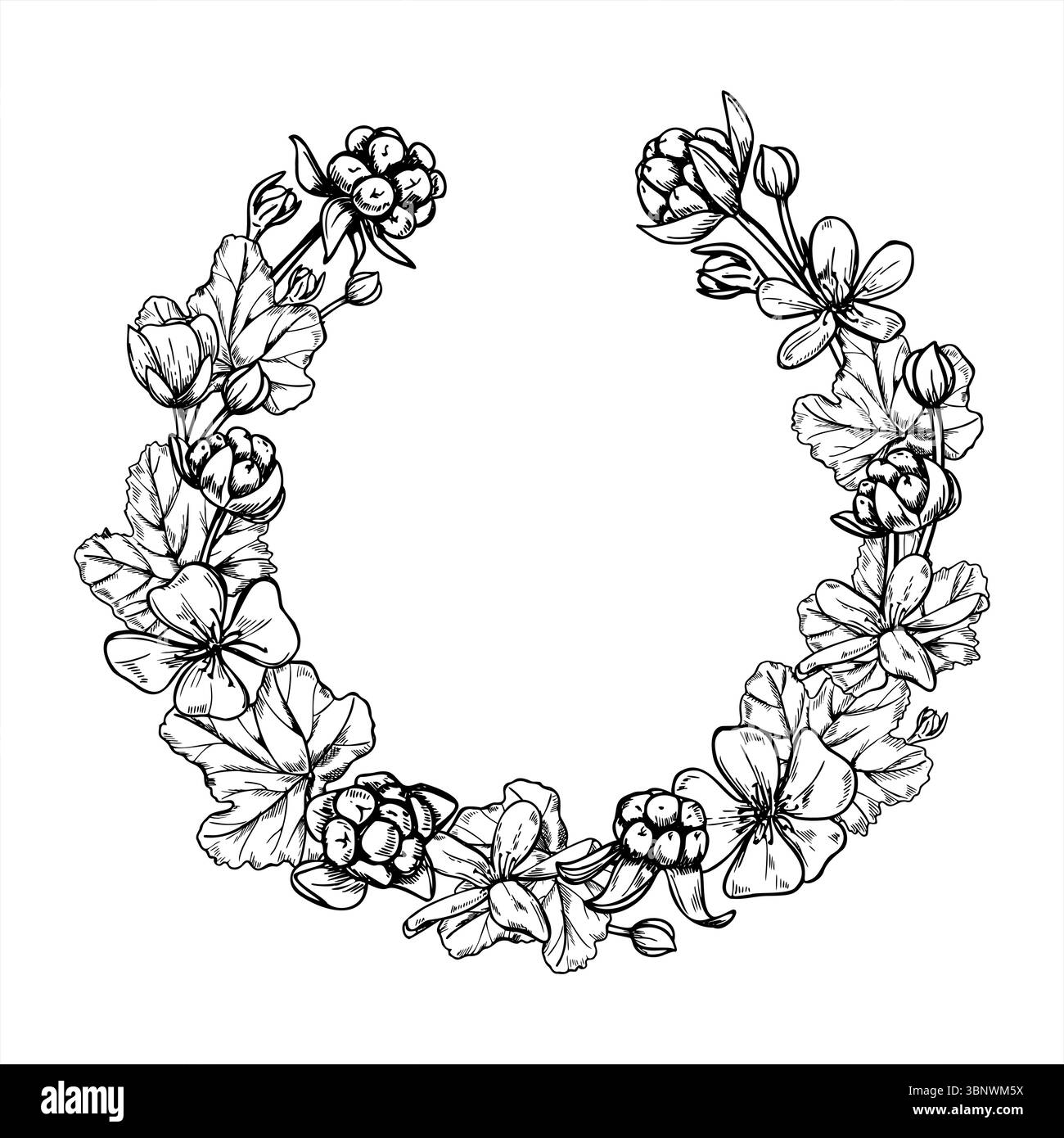 Couronne monochrome de mûrier avec des baies, des fleurs et des feuilles cadre vectoriel avec un espace vide pour le texte. Dessin de gravure de baie nordique pour mariage Illustration de Vecteur