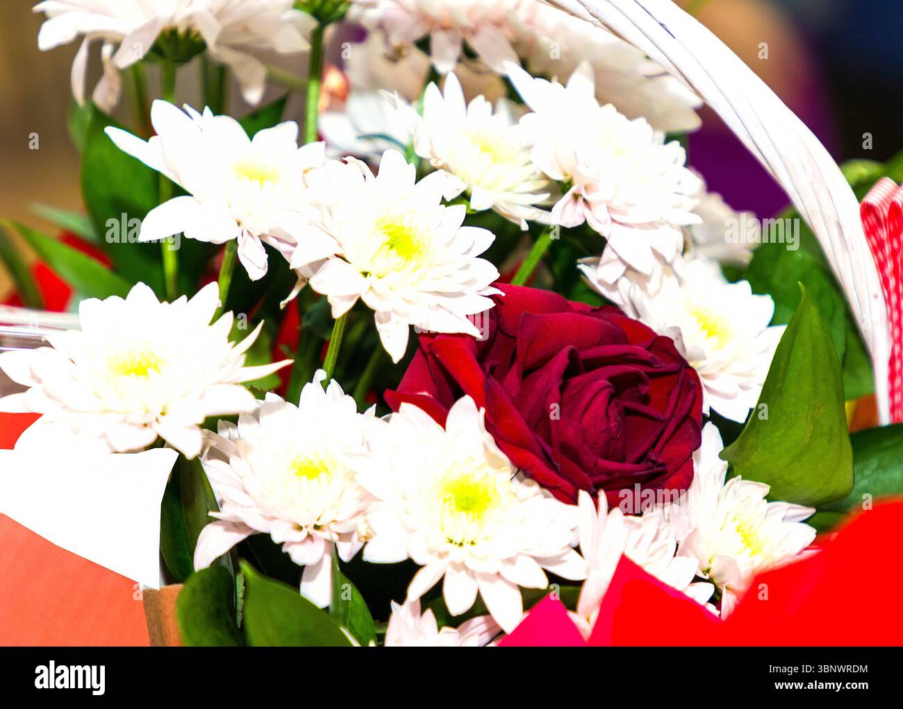 Fleurs de rose blanche et rouge dans le panier en rotin Banque D'Images