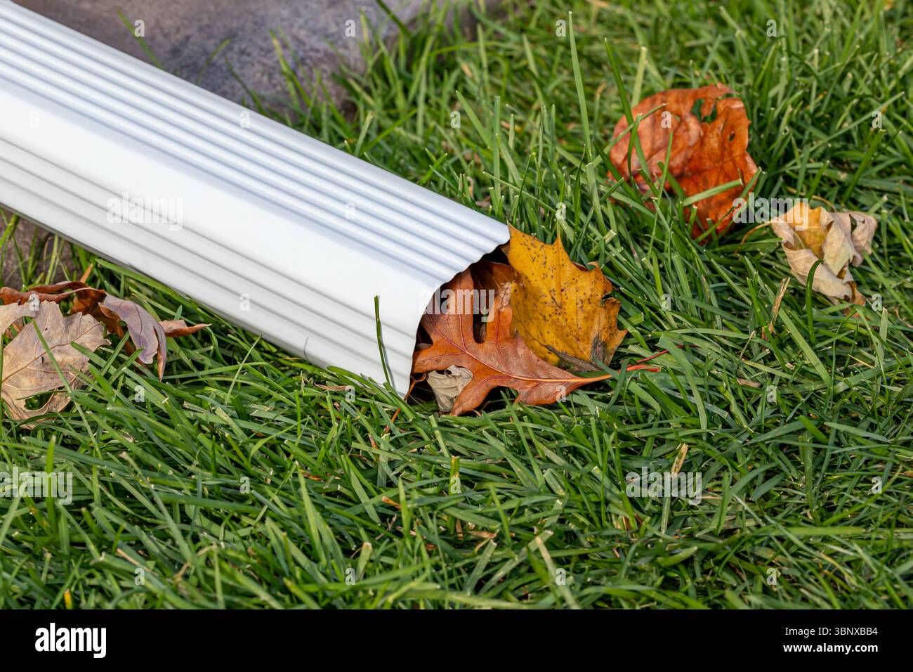 Gros plan de la gouttière de pluie de maison descente bouchée par des feuilles colorées tombant des arbres à l'automne. Entretien de la maison, travaux de triage et concept de dommages au toit Banque D'Images