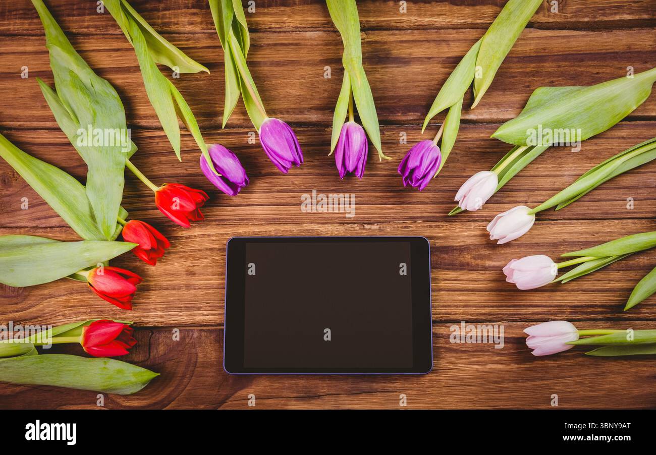 La tablette à écran blanc est couchée à plat sur une planche de bois, avec des tulipes blanches violettes rouges, des feuilles vertes Banque D'Images