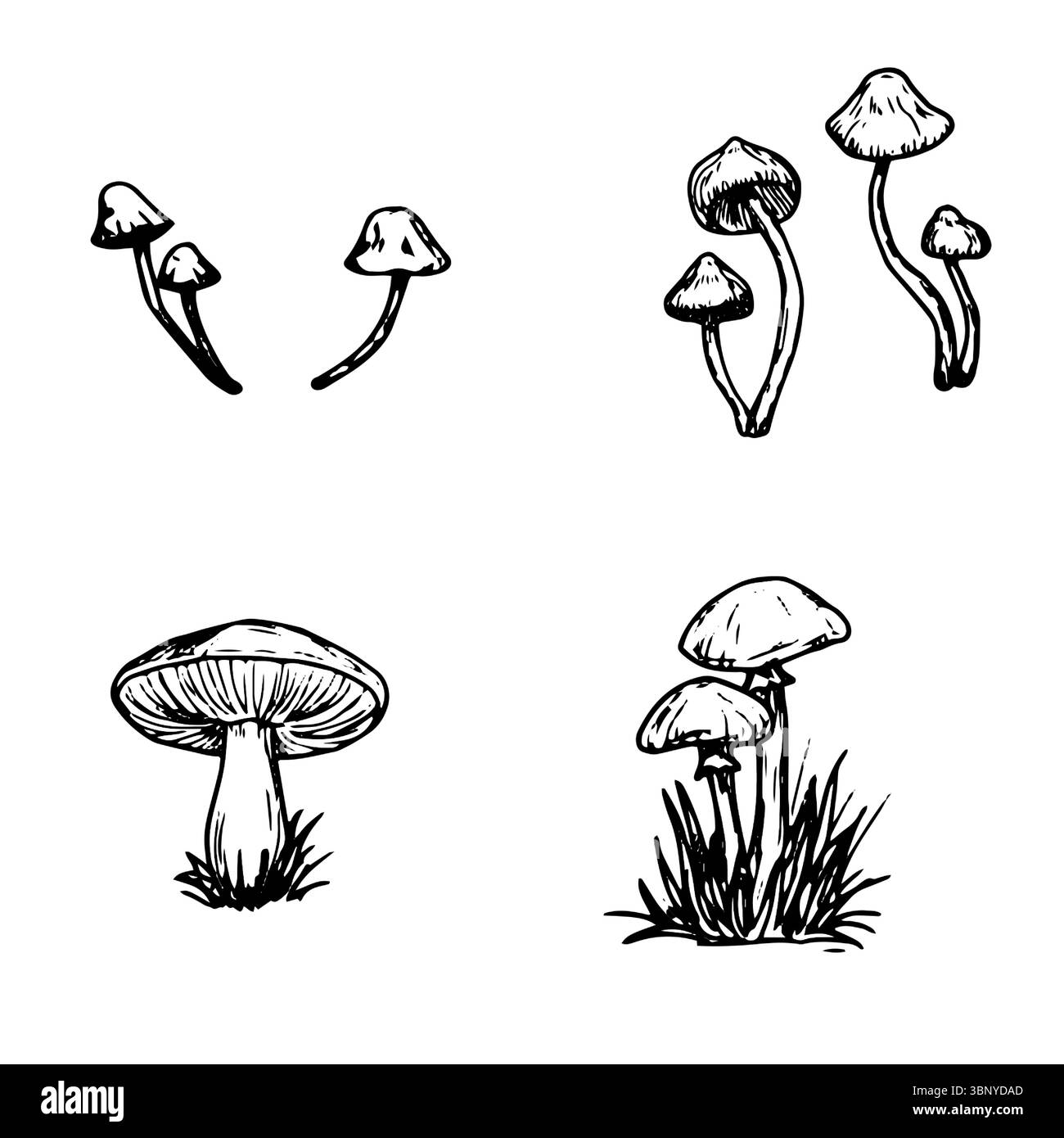 Champignons sauvages dans l'herbe, un ensemble de silhouettes, un croquis à l'encre noire et blanche illustration vectorielle. Le décor d'automne, mouche agarique et toadstool dans Illustration de Vecteur Champignons sauvages dans l'herbe, un ensemble de silhouettes, un croquis à l'encre noire et blanche illustration vectorielle. Le décor d'automne, mouche agarique et toadstool dans Illustration de Vecteur