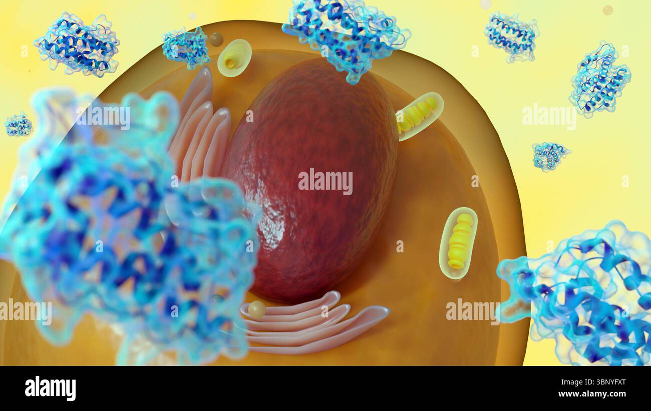 Un rendu 3d des molécules de leptine dispersées et adipocyte ou adipocyte, illustrant leur rôle dans le métabolisme et la régulation de l'énergie. Banque D'Images