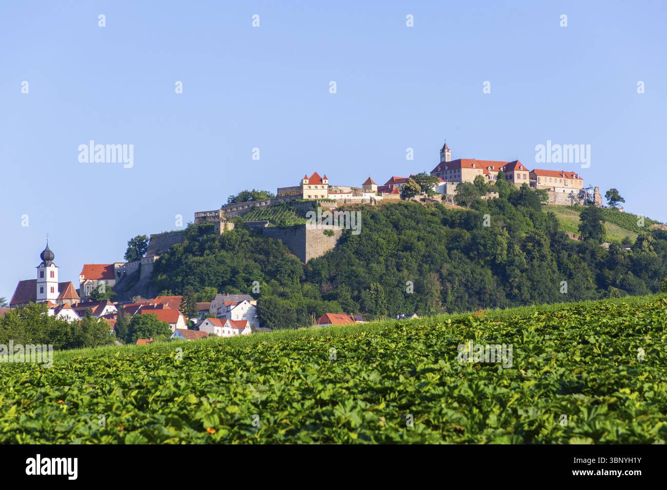 Zone agricole, zone de culture, derrière le Riegersburg, château médiéval, Riegersburg, région volcanique de Styrie, Styrie, Autriche, Europe Banque D'Images