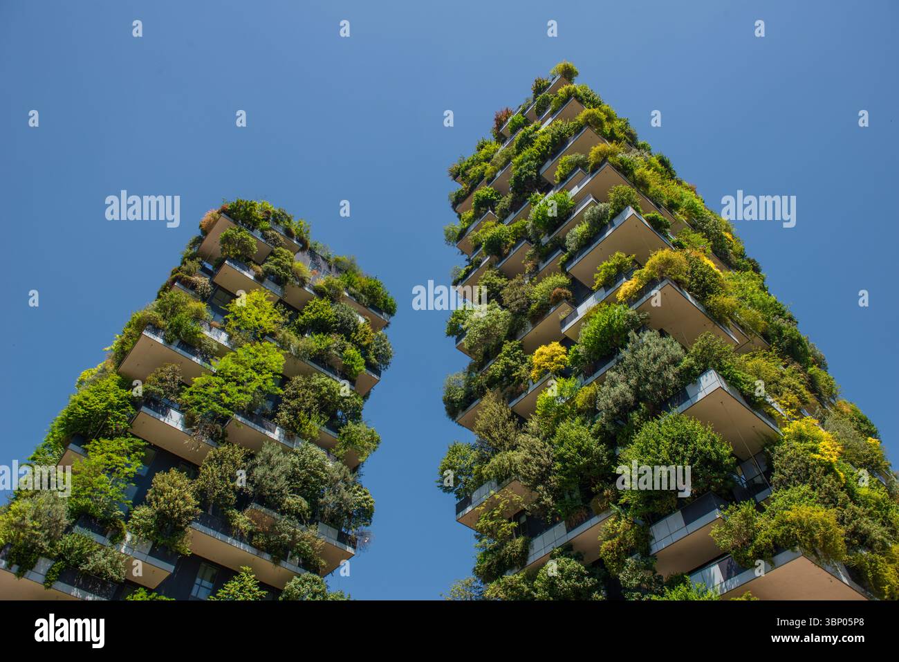 Milan Italie 28 juin 2025 : le Bosco verticale est un complexe de deux bâtiments résidentiels, avec la présence de plus de deux mille espèces d'arbres, inc Banque D'Images
