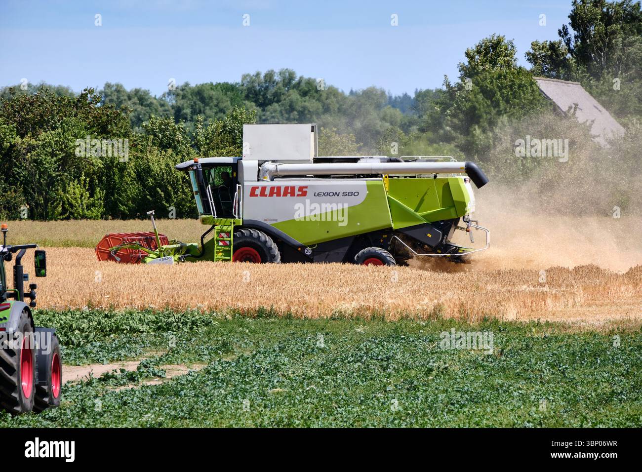 4 juillet 2025 - Patzig-Allemagne : une moissonneuse-batteuse Claas Lexion 580 travaille dans un champ d'orge d'hiver mûre pendant qu'un tracteur attend d'être chargé à Banque D'Images