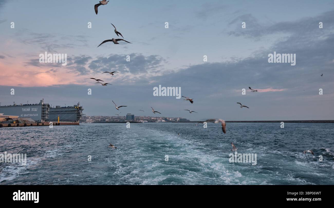 Le port de Haydarpaşa, ou port de Haidar Pacha ou port d'Istanbul, est un port maritime de fret général, un terminal roulier et à conteneurs à Istanbul, en Turquie Banque D'Images