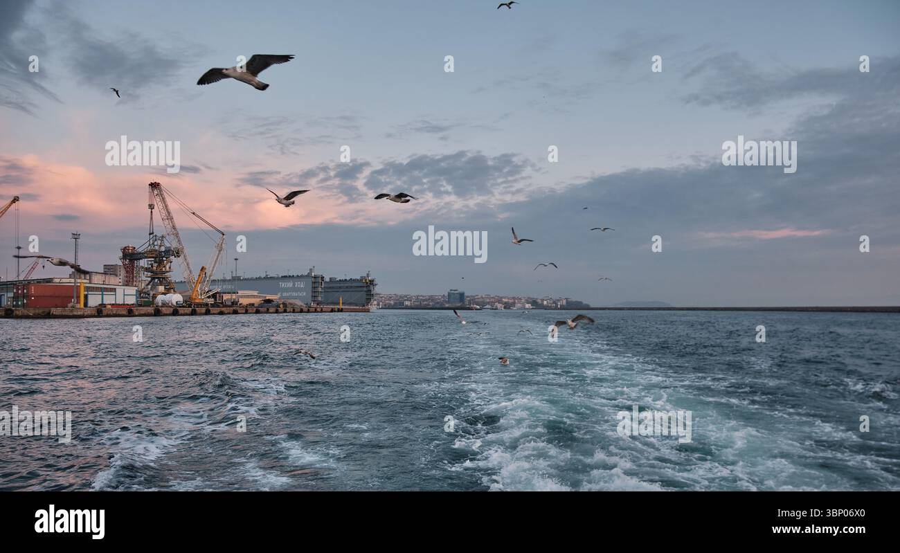 Le port de Haydarpaşa, ou port de Haidar Pacha ou port d'Istanbul, est un port maritime de fret général, un terminal roulier et à conteneurs à Istanbul, en Turquie Banque D'Images