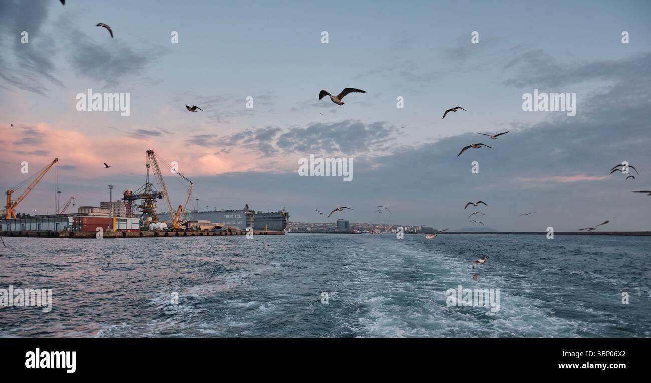 Le port de Haydarpaşa, ou port de Haidar Pacha ou port d'Istanbul, est un port maritime de fret général, un terminal roulier et à conteneurs à Istanbul, en Turquie Banque D'Images