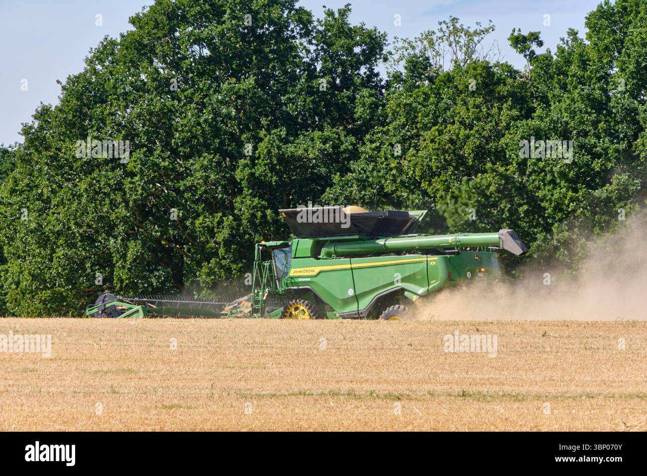 4 juillet 2025 - Lauterbach-Allemagne : une moissonneuse-batteuse John Deere travaille dans un champ d'orge, soulevant la poussière lorsqu'elle récolte une pente avec des arbres à l'intérieur Banque D'Images