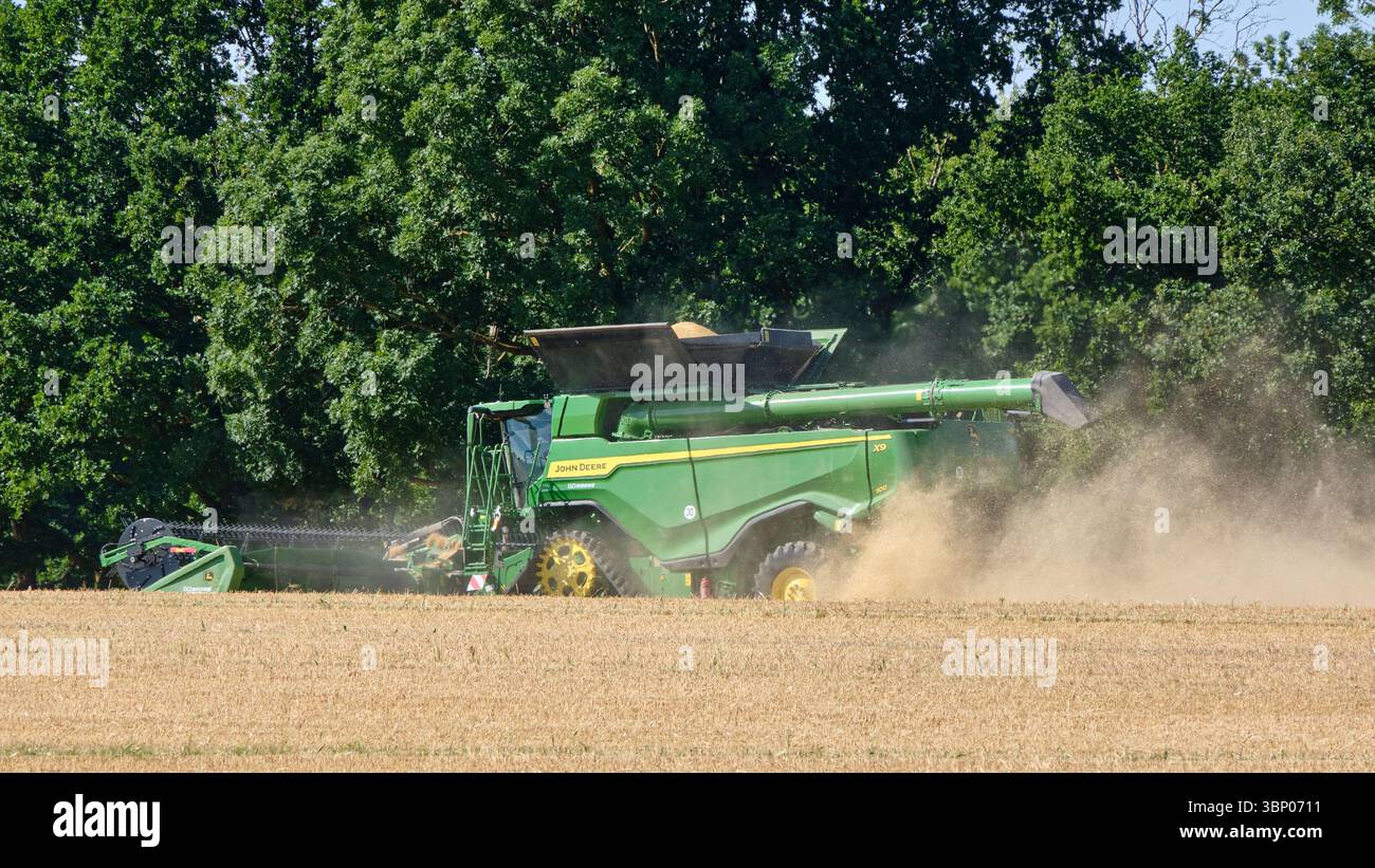 4 juillet 2025 - Lauterbach-Allemagne : une moissonneuse-batteuse John Deere travaille à travers un champ d'orge, soulevant la poussière pendant qu'elle récolte sous un ciel dégagé avec du tré Banque D'Images