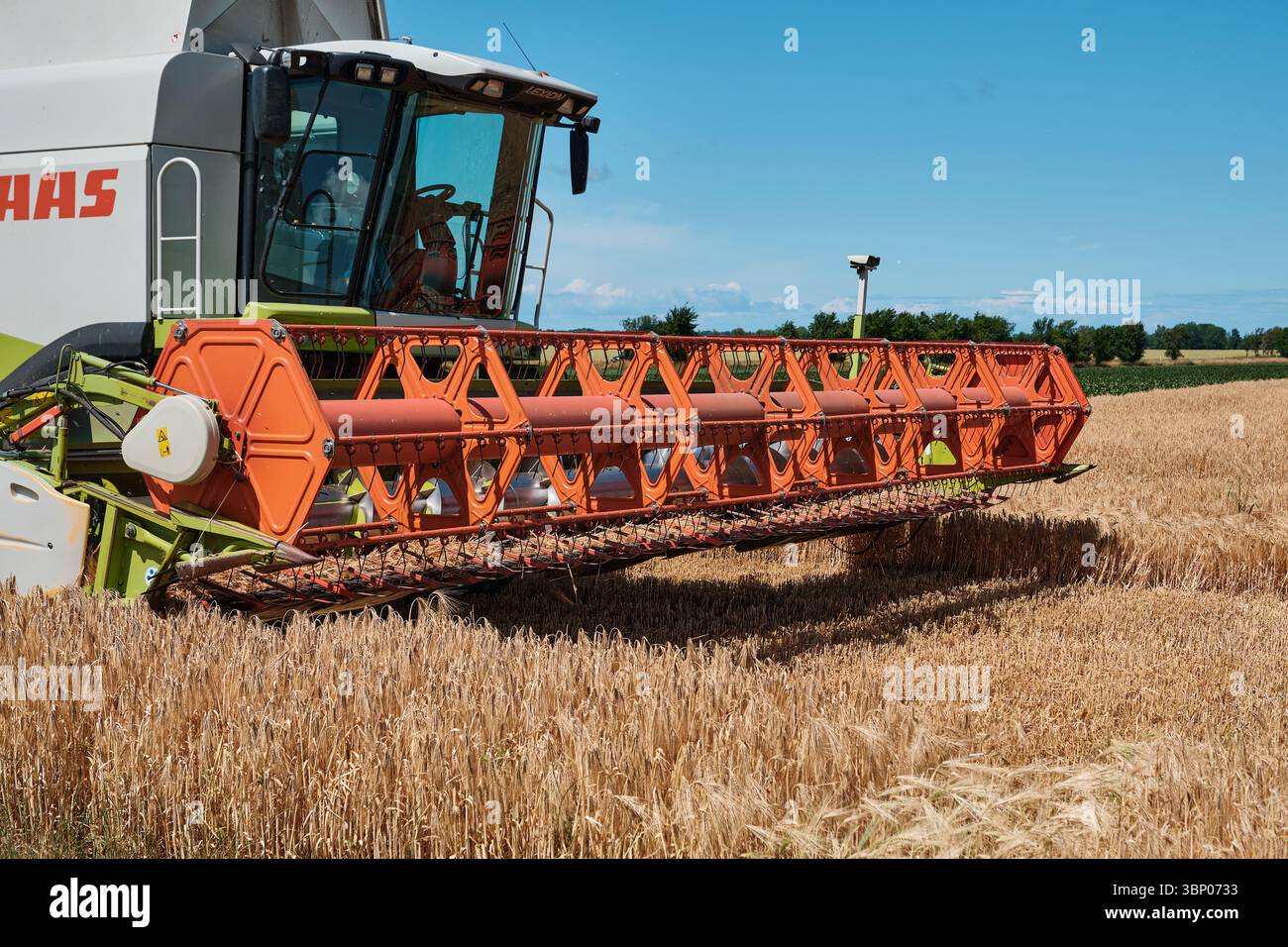 4 juillet 2025 - Patzig-Allemagne : gros plan sur l'avant de la moissonneuse-batteuse Claas Lexion 580 pendant la récolte de blé en pause Banque D'Images