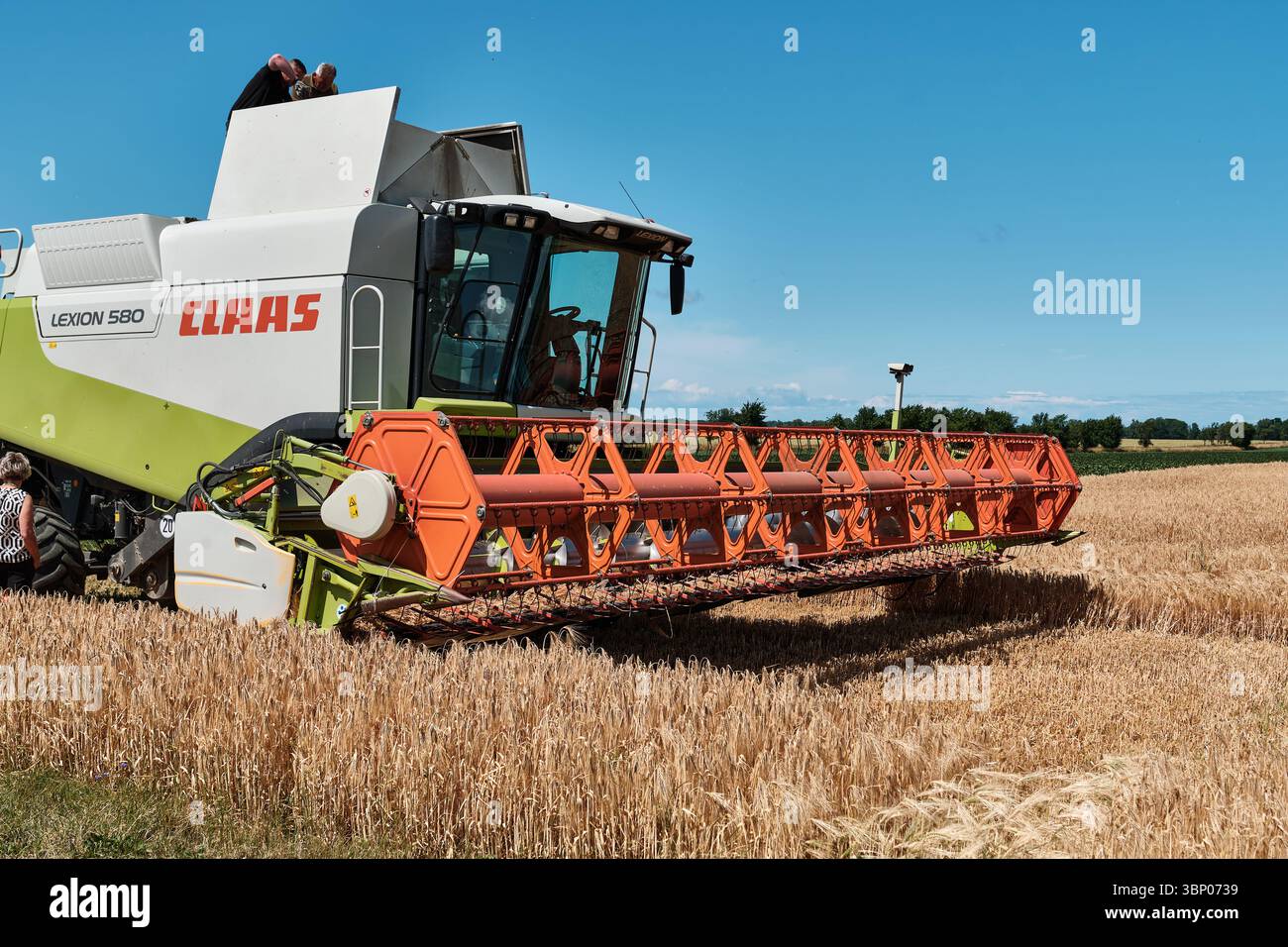 4 juillet 2025 - Patzig-Allemagne : moissonneuse-batteuse CLAAS Lexion 580 pendant la récolte du blé, avec opérateur debout au silo de la machine sous bleu clair Banque D'Images