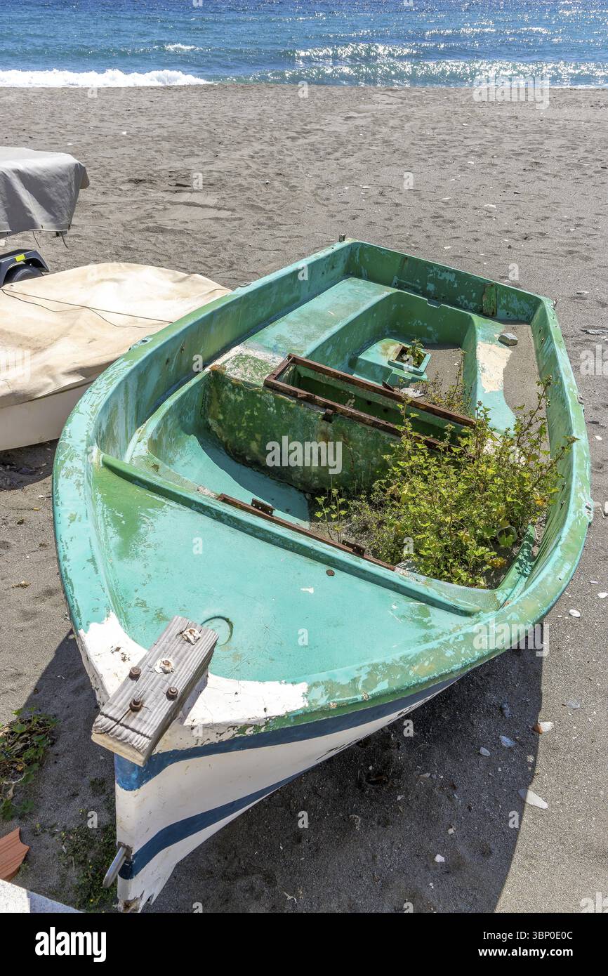 Bateau vert et blanc abandonné avec des plantes poussant dedans, la Mamola, Polopos, Grenade, Andalousie, Espagne, Europe Banque D'Images Bateau vert et blanc abandonné avec des plantes poussant dedans, la Mamola, Polopos, Grenade, Andalousie, Espagne, Europe Banque D'Images