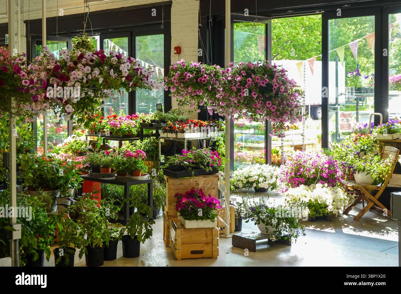 Affichage coloré du marché aux fleurs avec diverses plantes en pot sur des tables en bois Banque D'Images