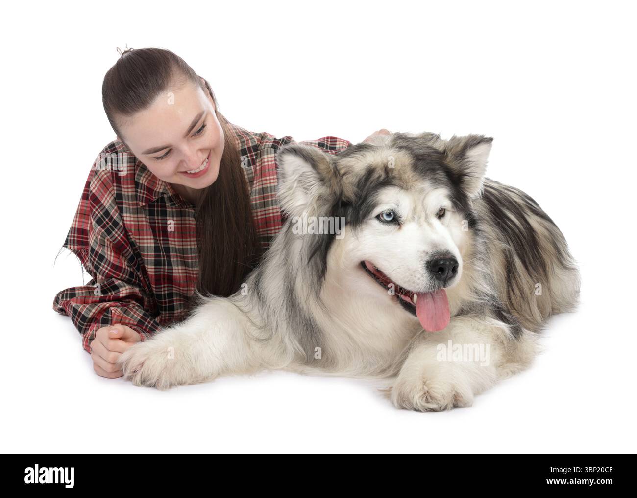 Femme avec son beau chien Malamute d'Alaska sur fond blanc Banque D'Images