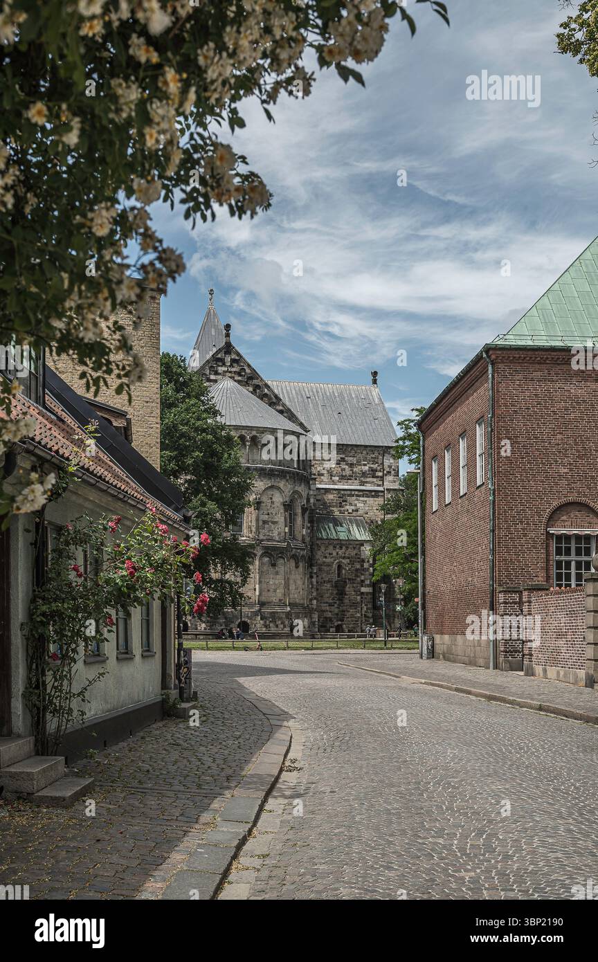 Rue pavée menant à la majestueuse cathédrale de Lund, encadrée par des roses grimpantes et des bâtiments historiques en briques sous un ciel d'été spectaculaire en Suède Banque D'Images