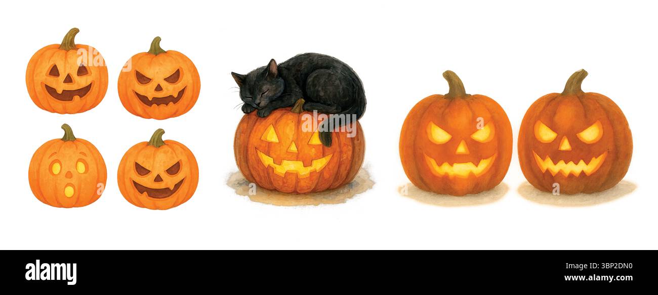 Collection de citrouilles d'Halloween avec chat – Jack-o'-lanternes et chat noir Banque D'Images