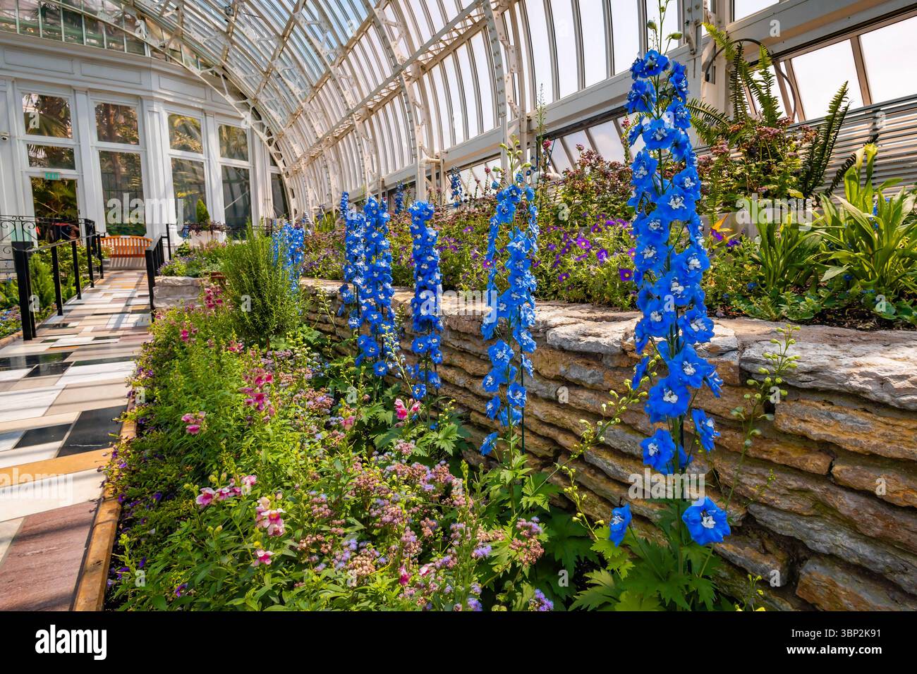Fleurs de saison dans Sunken Garden au Conservatoire de Como Park Banque D'Images