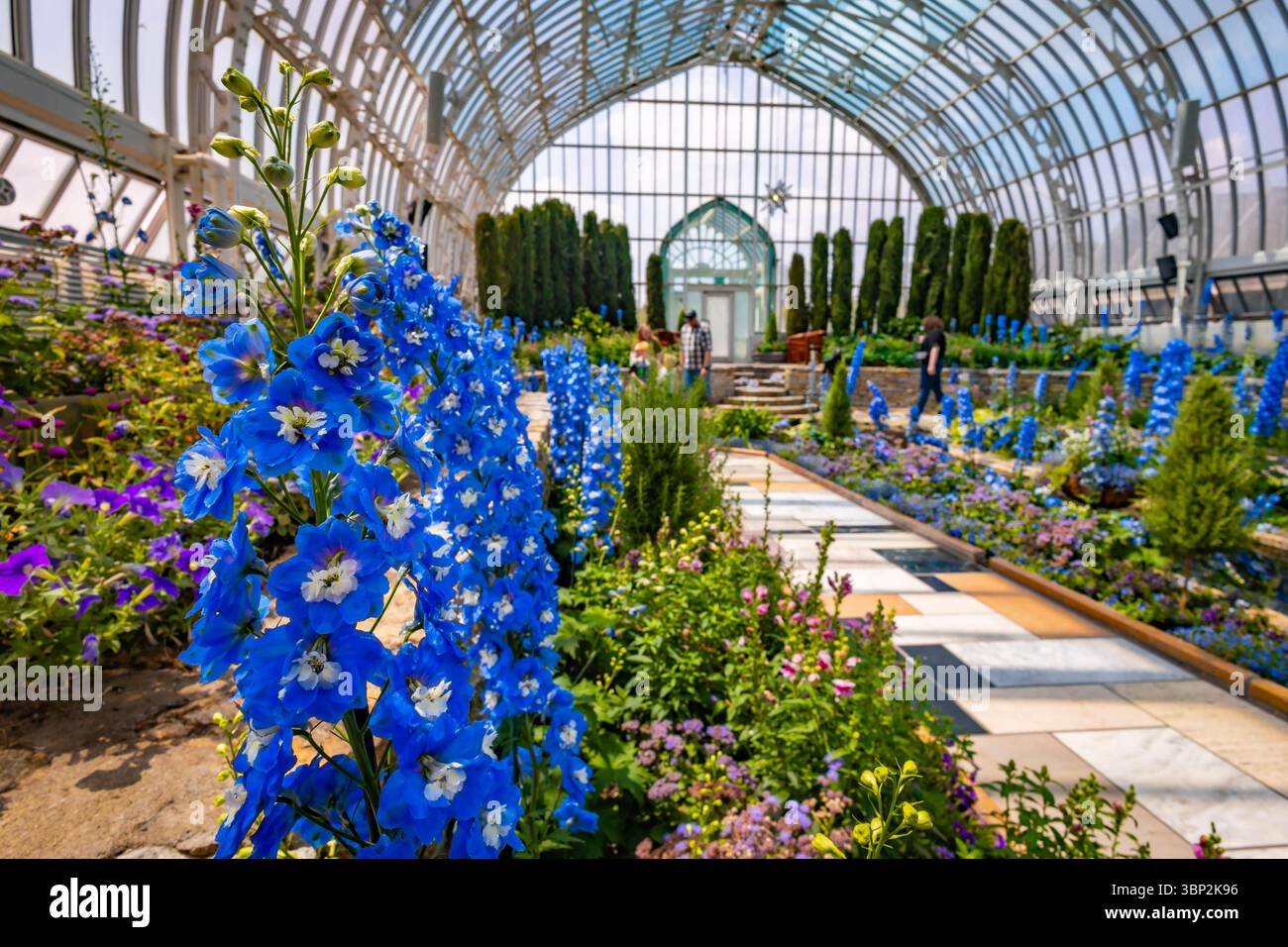 Fleurs de saison dans Sunken Garden au Conservatoire de Como Park Banque D'Images