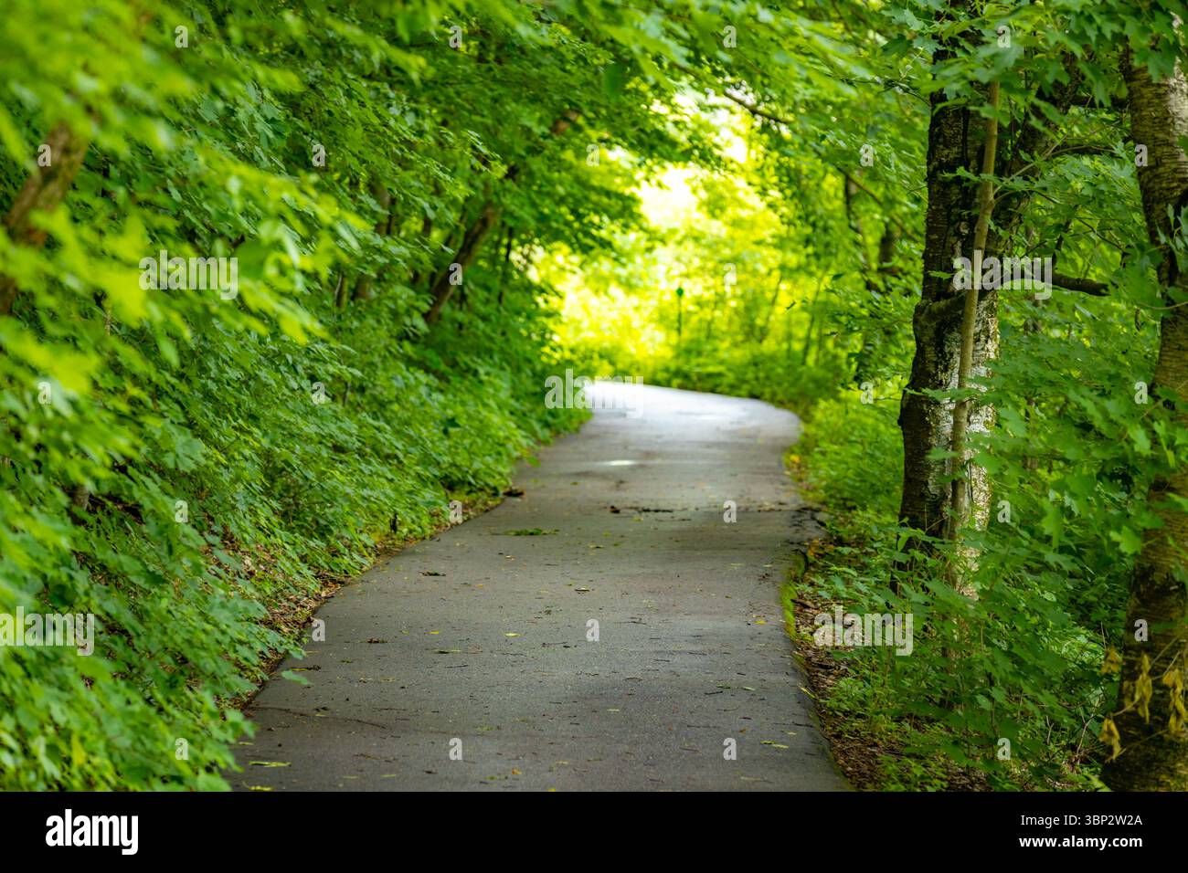 Scène lumineuse et vibrante de Minnesota Landscape Arboretum présentant une végétation luxuriante et une vue panoramique sur le parc Banque D'Images