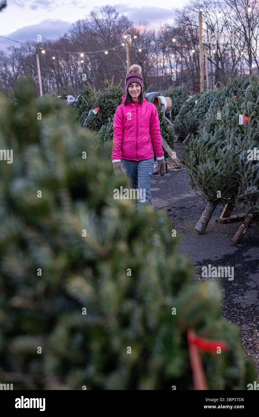 Stand de vente de sapins de Noël à West Haven, Connecticut. Banque D'Images