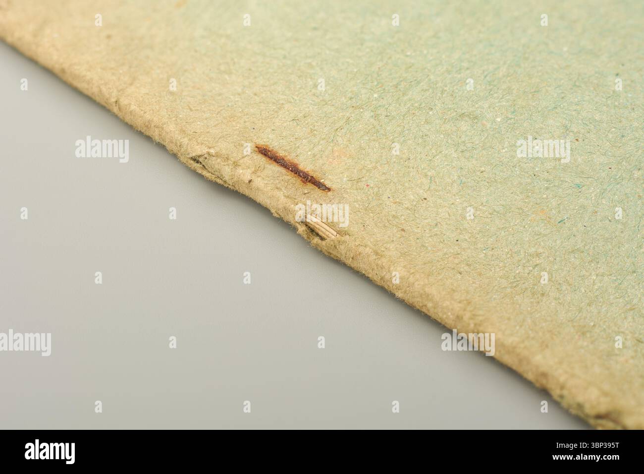 gros plan d'une épingle d'agrafeuse endommagée et fortement rouillée d'une reliure de livre ancienne, d'une couverture de livre en papier ou en carton déchiré et effilochée dans un espace de mise au point souple et de copie Banque D'Images