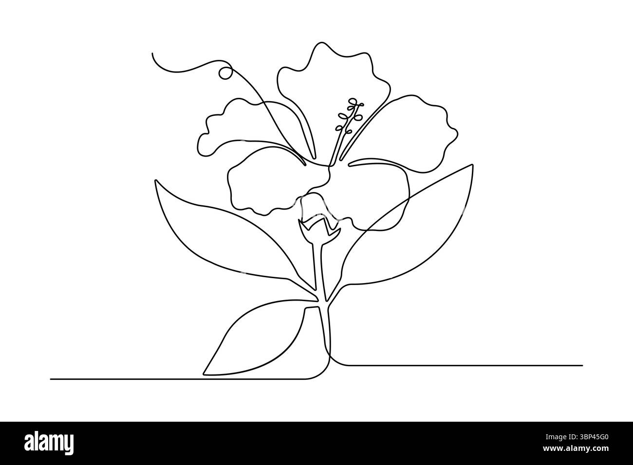 Fleur d'hibiscus une ligne dessin illustration vectorielle minimaliste Illustration de Vecteur Fleur d'hibiscus une ligne dessin illustration vectorielle minimaliste Illustration de Vecteur