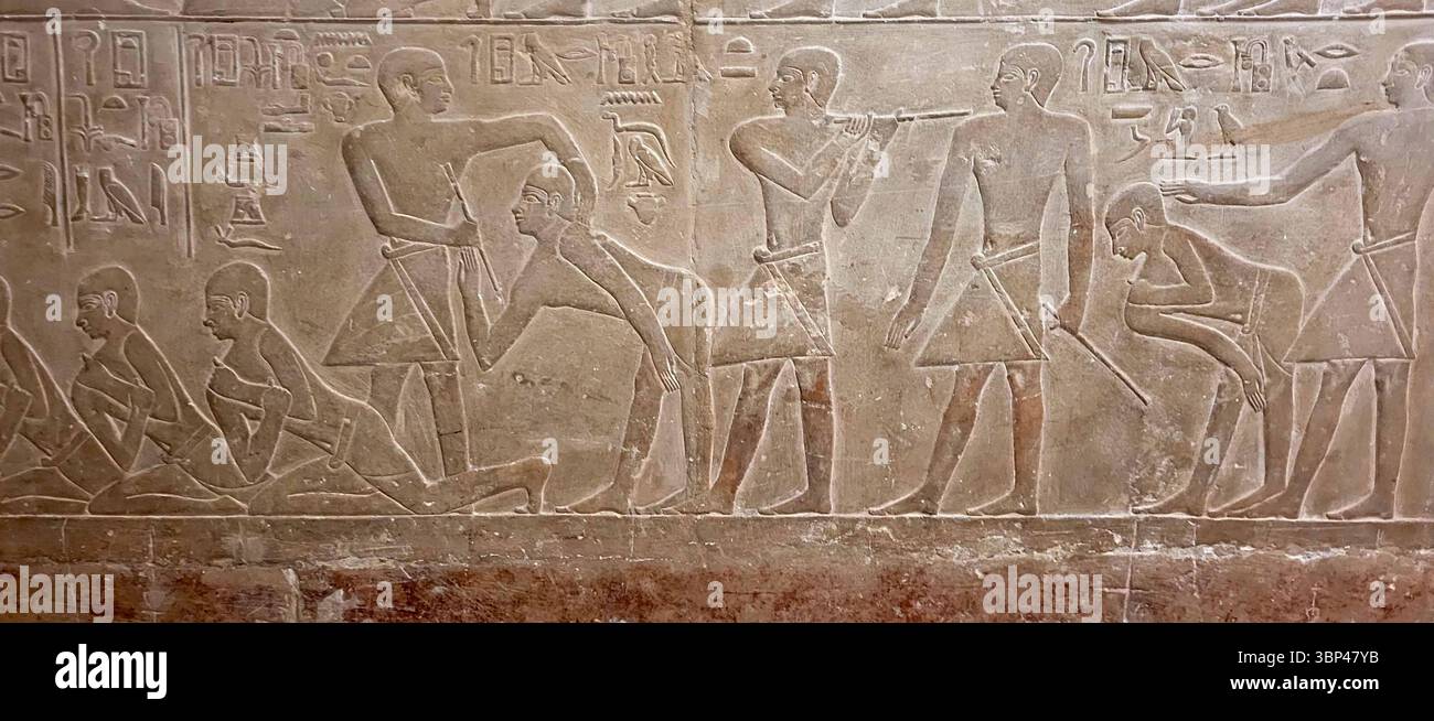 Une photographie d'un soulagement de la vie quotidienne du Mastaba de Mereruka à Saqqara, Eqgypt. Mereruka était vizir pendant les règnes du roi Téti (c. 2345 ?2323 av. J.-C.). En tant que vizir, le plus haut fonctionnaire, et mari d'une fille de Teti?s, Mereruka était un homme très puissant et riche. Parmi les autres postes officiels que Mereruka occupait, il y avait « directeur de toutes les œuvres du roi », « gouverneur du palais », « surveillant des scribes des archives royales » et « inspecteur des prêtres attachés à la pyramide de Téti ». Le mastaba de Mereruka est le plus grand et le plus élaboré de toutes les tombes non royales de Saqqara Banque D'Images