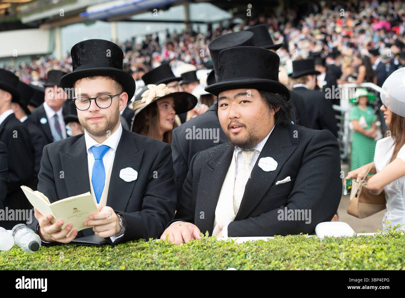 Ascot, Berkshire, Royaume-Uni. 21 juin 2025. Courses dans l'enceinte royale le cinquième jour de Royal Ascot 2025 à l'hippodrome d'Ascot dans le Berkshire crédit : Maureen McLean/Alamy Banque D'Images