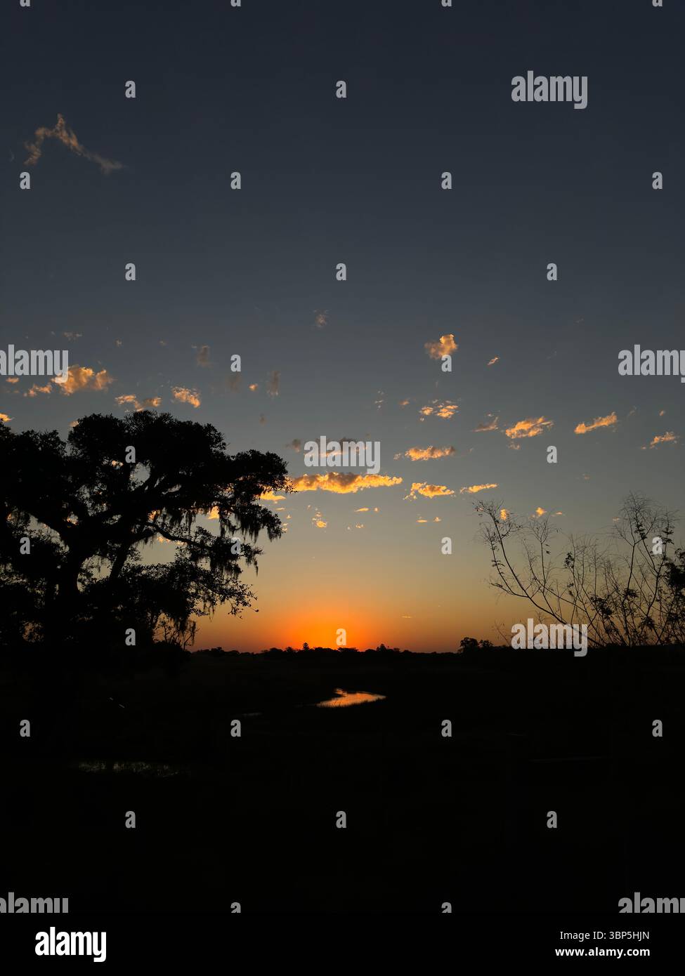 Coucher de soleil doré sur un paysage rural avec des silhouettes d'arbres et des reflets d'étang. Scène de campagne calme et paisible capturée au crépuscule. - Image de stock capturée avec un smartphone