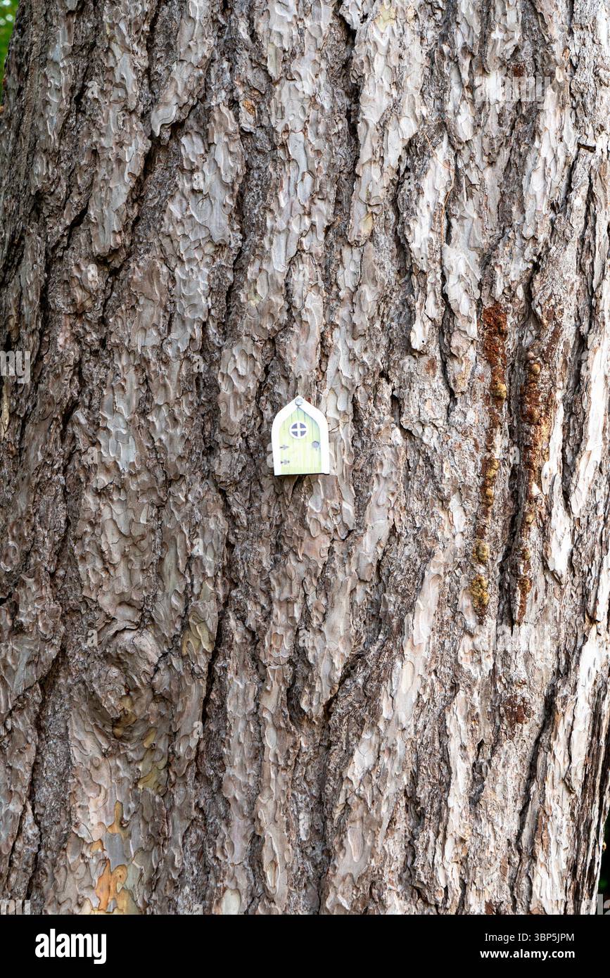 Petite porte de fée attachée à un arbre dans le cadre d'un jeu pour enfants Banque D'Images