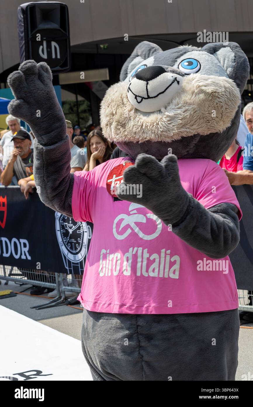 Bergame, Italie. 06 juillet 2025. Wolvies au départ de l'étape 1 Bergamo-Bergamo Tudor ITT, Giro d'Italia Women 2025, Bergame, Italie le 6 juillet 2025 pendant Giro d'Italia Women - étape 1 - Bergamo/Bergamo, course Giro d'Italia à Bergame, Italie, 06 juillet 2025 crédit : Agence photo indépendante/Alamy Live News Banque D'Images