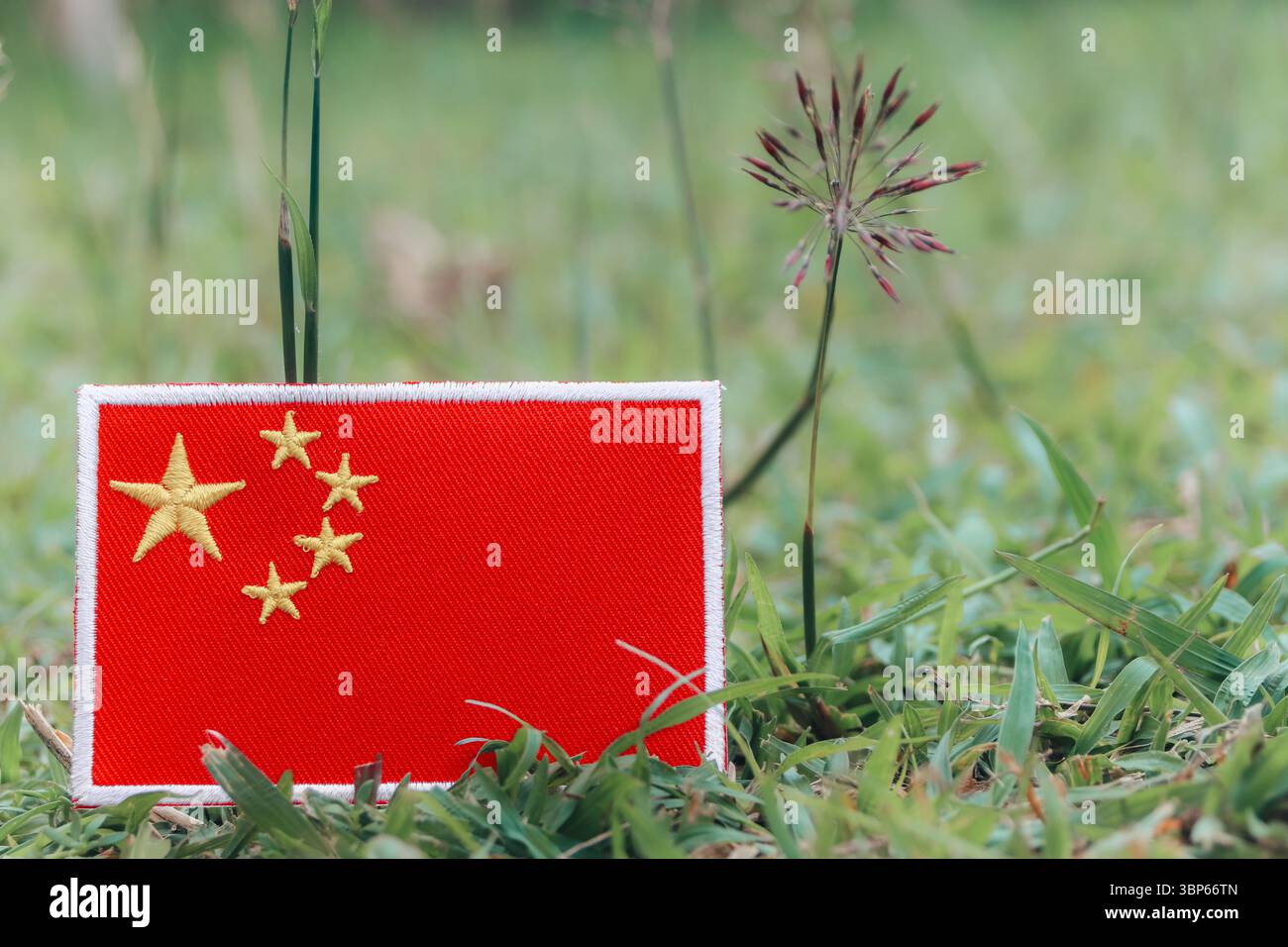 Drapeau chinois brodé écologique placé sur l'herbe verte avec des fleurs sauvages. Jour de la terre, concept de calme naturel. Espace pour le texte sur la droite. Banque D'Images