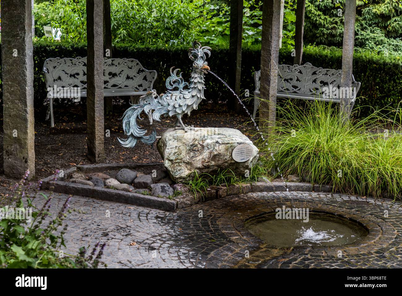 Une fontaine ornée d'oiseaux paradisiaques en métal jette de l'eau dans un bassin pavé. La sculpture est entourée de verdure luxuriante et de deux bancs blancs, créant une atmosphère apaisante. Cette fontaine est située sur l'île de Mainau près de Constance, Bade-Württemberg, Allemagne. Konstanz, Bade-Württemberg, Allemagne Banque D'Images Une fontaine ornée d'oiseaux paradisiaques en métal jette de l'eau dans un bassin pavé. La sculpture est entourée de verdure luxuriante et de deux bancs blancs, créant une atmosphère apaisante. Cette fontaine est située sur l'île de Mainau près de Constance, Bade-Württemberg, Allemagne. Konstanz, Bade-Württemberg, Allemagne Banque D'Images