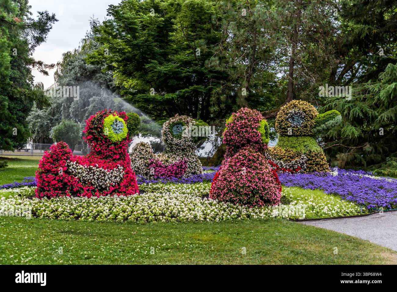 Quatre sculptures florales en forme de canard, rouge, blanc-rose, rose et jaune, se dressent dans un parterre de fleurs violettes et blanches sur l'île de Mainau. En arrière-plan, un arroseur arrose le terrain. Ces figures florales font partie des attractions de l'île du lac de Constance. Elles se trouvent dans le Bade-Wurtemberg près de Constance, en Allemagne. Banque D'Images