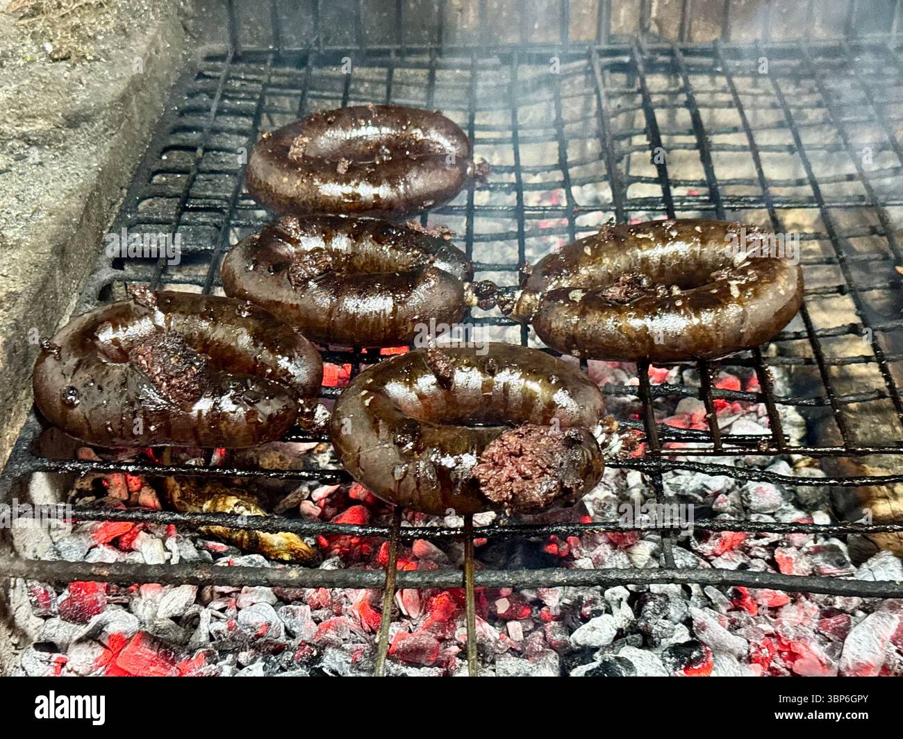 Saucisses au pudding noir grésillant sur un gril au charbon de bois au-dessus de charbons incandescents. Banque D'Images