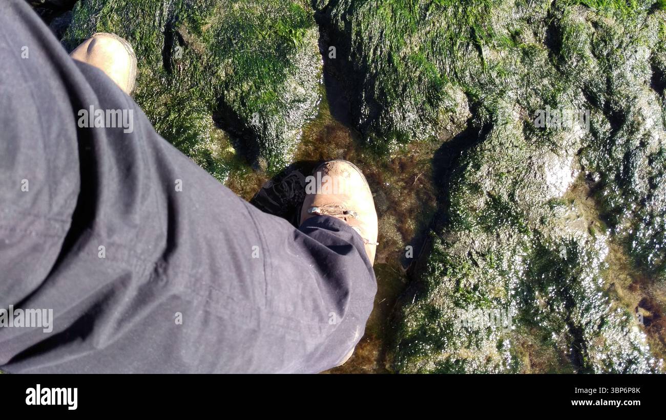 Empreintes de dinosaures Staffin Beach, île de Skye, Écosse. Empreintes des Ornithopodes, un groupe de dinosaures bipèdes herbivores Banque D'Images