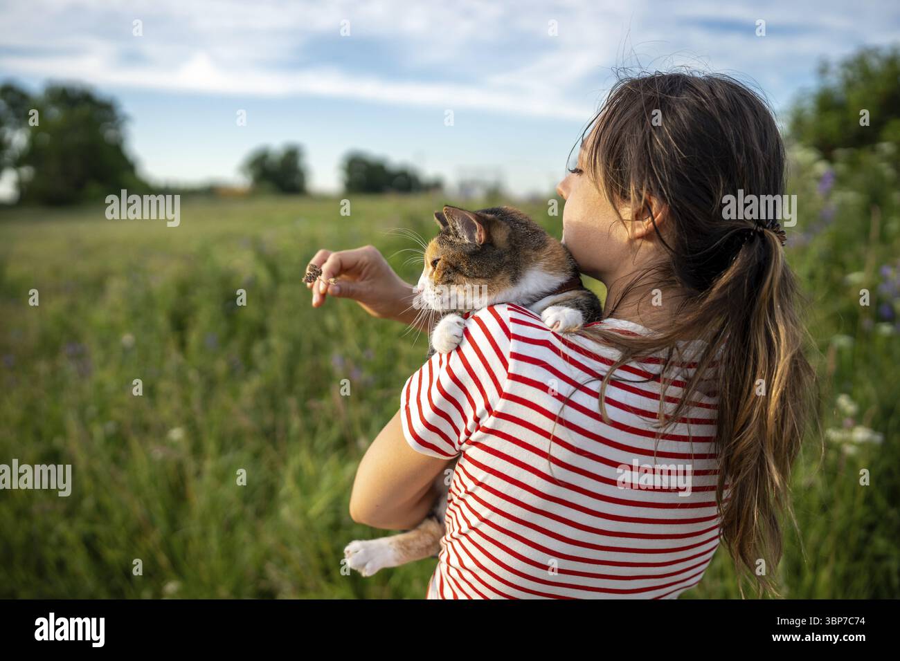Femme tenant le chat tacheté sur l'épaule, marche avec l'animal de compagnie dans la nature. Propriétaire d'animal de compagnie appréciant la promenade avec le chat, gardien d'animaux supervisant la première expérience en plein air pour Banque D'Images