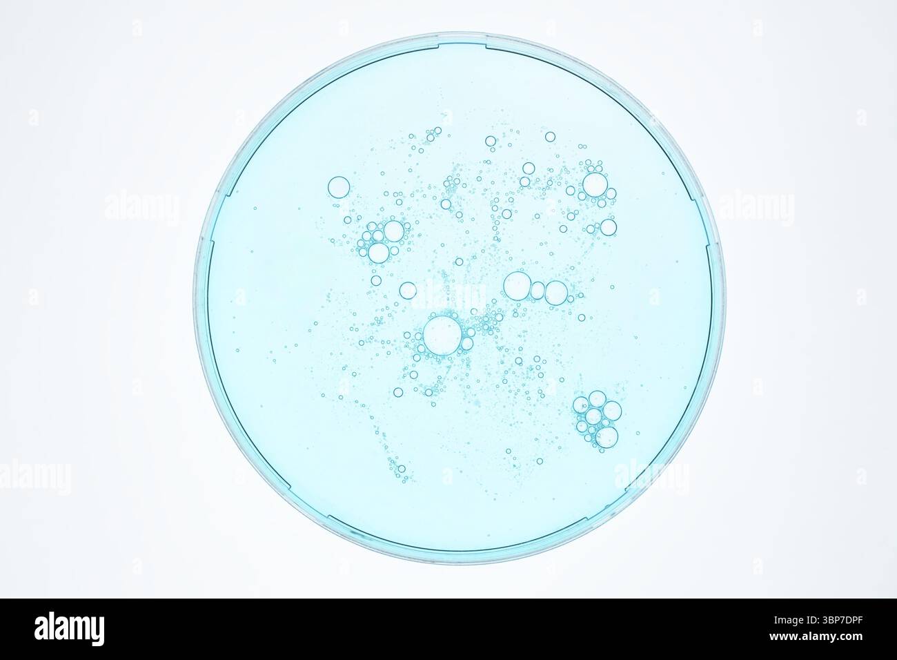 Boîte de Pétri de laboratoire et sérum facial sur fond bleu. Médecine alternative, recherche cosmétique. Soins de la peau. Dermatologie. Vue de dessus Banque D'Images