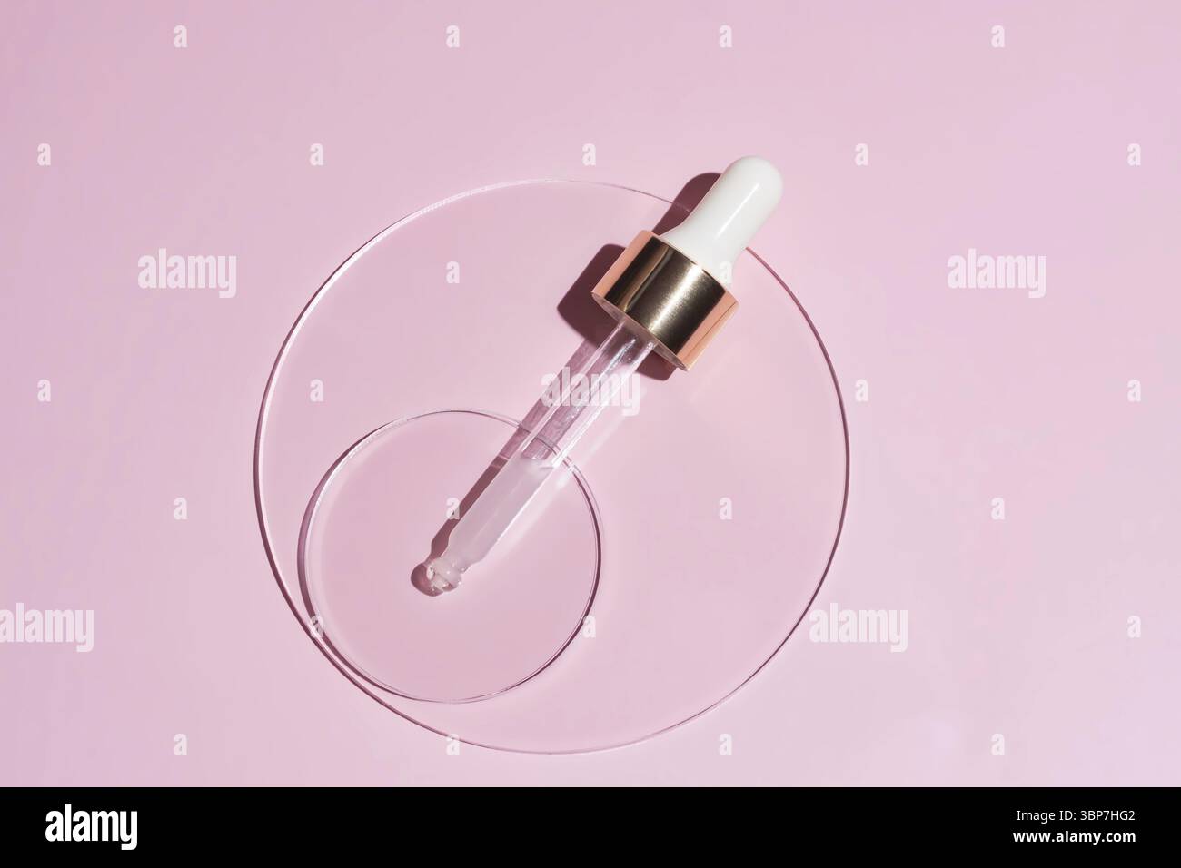 Pipette cosmétique avec sérum dans une boîte de Pétri sur fond rose. Compte-gouttes pour pipette d'huile de face. Vue de dessus de la texture d'un produit cosmétique de beauté pour le visage. Lot de soins corporels Banque D'Images