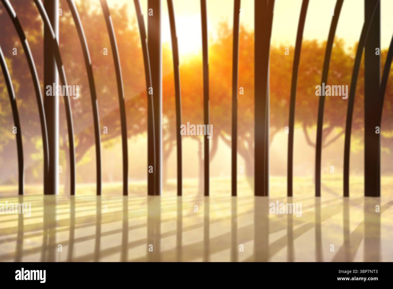 Structure sur la forêt avec soleil Banque D'Images