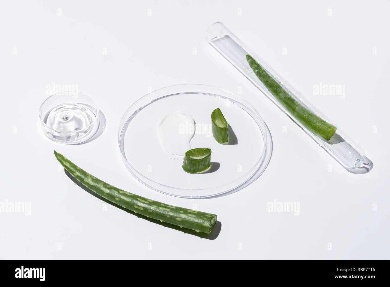 Photo en gros plan d'une boîte de Petri remplie de crème d'aloe vera et de feuille d'aloe, sur fond blanc Banque D'Images