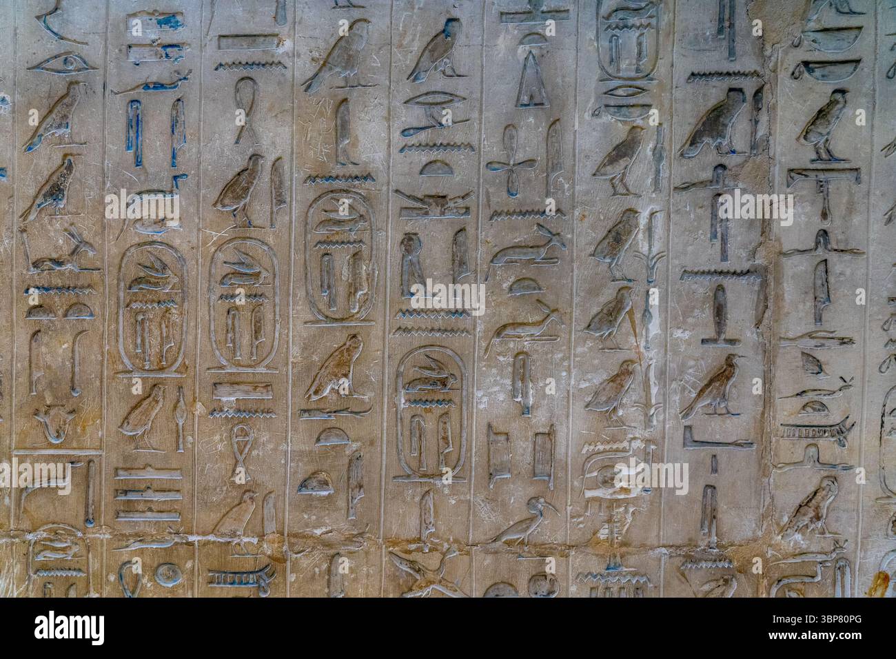 Détail des textes de la pyramide à l'intérieur de la pyramide du roi Ounas Banque D'Images